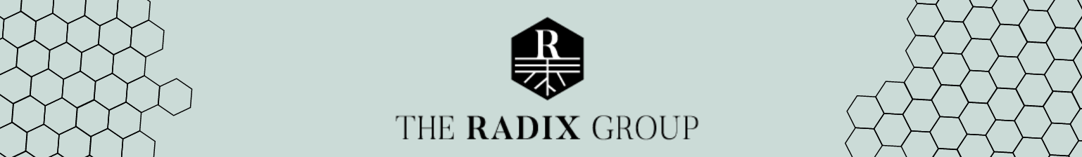 Google Form Header - The Radix Group (8)-1